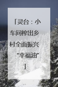 灵台：小车间榨出乡村全面振兴“幸福油”