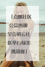 点燃社区公益热潮 呈贡朝云社区举行绿美挑战赛