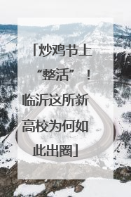 炒鸡节上“整活”！临沂这所新高校为何如此出圈
