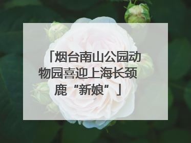 烟台南山公园动物园喜迎上海长颈鹿“新娘”