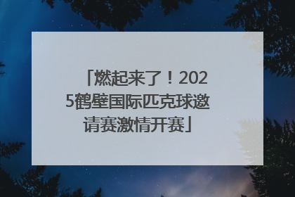 燃起来了！2025鹤壁国际匹克球邀请赛激情开赛