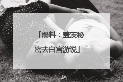 爆料：盖茨秘密去白宫游说