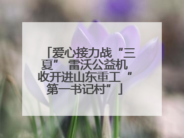 爱心接力战“三夏” 雷沃公益机收开进山东重工“第一书记村”