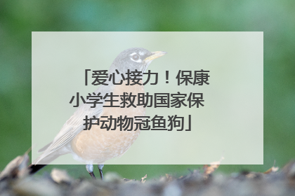 爱心接力！保康小学生救助国家保护动物冠鱼狗