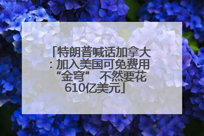 特朗普喊话加拿大：加入美国可免费用“金穹” 不然要花610亿美元
