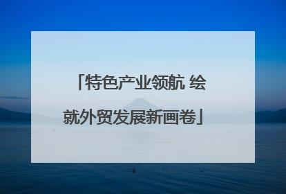 特色产业领航 绘就外贸发展新画卷
