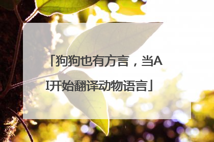 狗狗也有方言，当AI开始翻译动物语言