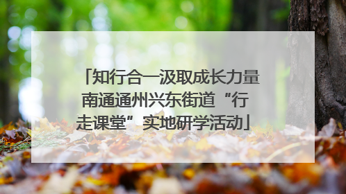 知行合一汲取成长力量 南通通州兴东街道“行走课堂”实地研学活动