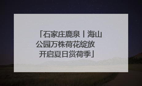 石家庄鹿泉丨海山公园万株荷花绽放 开启夏日赏荷季