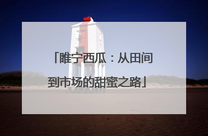 睢宁西瓜：从田间到市场的甜蜜之路