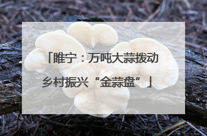 睢宁：万吨大蒜拨动乡村振兴“金蒜盘”