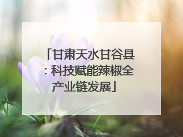 甘肃天水甘谷县：科技赋能辣椒全产业链发展