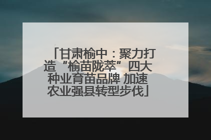 甘肃榆中：聚力打造“榆苗陇萃”四大种业育苗品牌 加速农业强县转型步伐