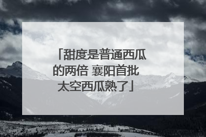 甜度是普通西瓜的两倍 襄阳首批太空西瓜熟了