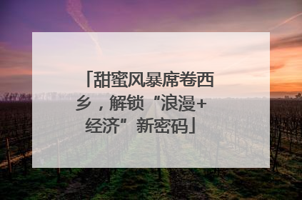 甜蜜风暴席卷西乡，解锁“浪漫+经济”新密码