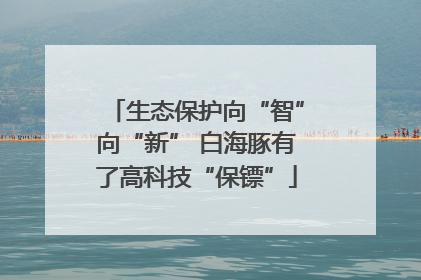 生态保护向“智”向“新” 白海豚有了高科技“保镖”