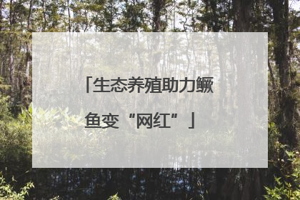 生态养殖助力鳜鱼变“网红”