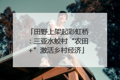 田野上架起彩虹桥：三亚水蛟村“农田+”激活乡村经济
