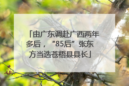 由广东调赴广西两年多后，“85后”张东方当选苍梧县县长