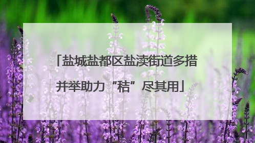 盐城盐都区盐渎街道多措并举助力“秸”尽其用