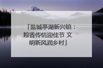 盐城亭湖新兴镇：粽香传情迎佳节 文明新风润乡村