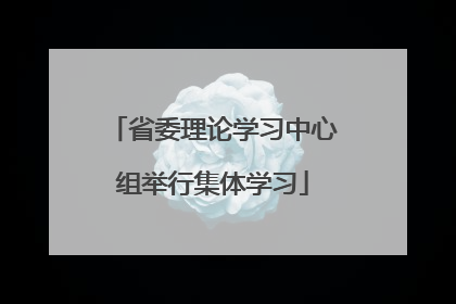 省委理论学习中心组举行集体学习