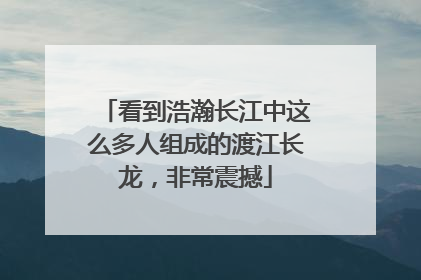 看到浩瀚长江中这么多人组成的渡江长龙，非常震撼