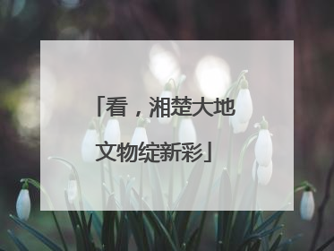 看，湘楚大地文物绽新彩