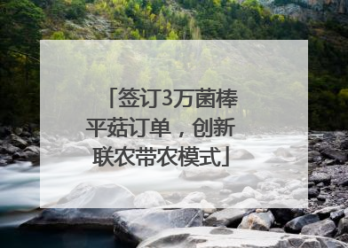 签订3万菌棒平菇订单，创新联农带农模式