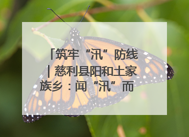 筑牢“汛”防线｜慈利县阳和土家族乡：闻“汛”而动 全员下沉筑牢防汛“安全堤”