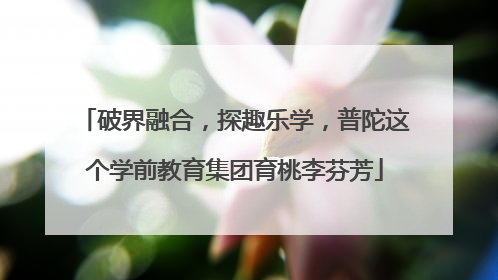 破界融合，探趣乐学，普陀这个学前教育集团育桃李芬芳