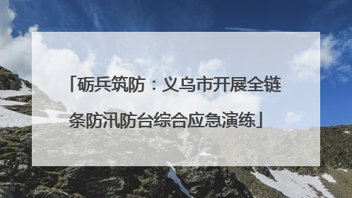 砺兵筑防：义乌市开展全链条防汛防台综合应急演练