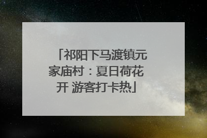 祁阳下马渡镇元家庙村：夏日荷花开 游客打卡热