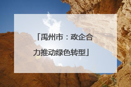 禹州市：政企合力推动绿色转型