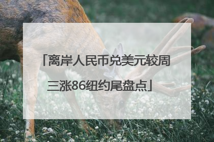 离岸人民币兑美元较周三涨86纽约尾盘点
