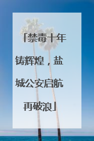 禁毒十年铸辉煌，盐城公安启航再破浪