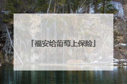 福安给葡萄上保险