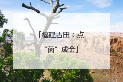 福建古田：点“菌”成金