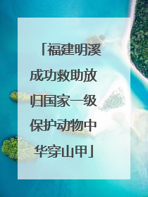 福建明溪成功救助放归国家一级保护动物中华穿山甲