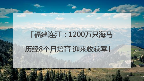 福建连江：1200万只海马历经8个月培育 迎来收获季
