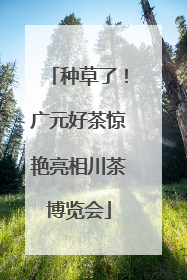 种草了！广元好茶惊艳亮相川茶博览会