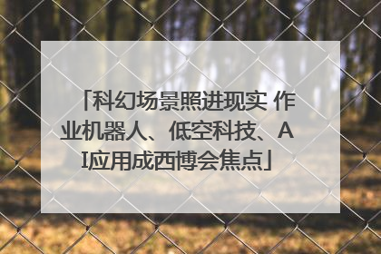 科幻场景照进现实 作业机器人、低空科技、AI应用成西博会焦点