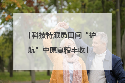 科技特派员田间“护航”中原夏粮丰收