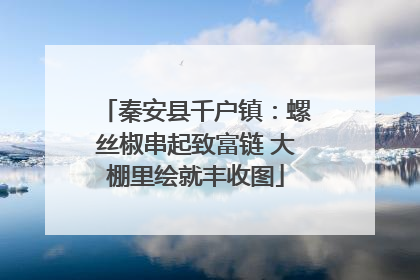 秦安县千户镇：螺丝椒串起致富链 大棚里绘就丰收图