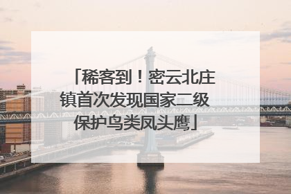 稀客到！密云北庄镇首次发现国家二级保护鸟类凤头鹰