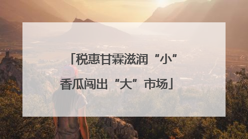 税惠甘霖滋润“小”香瓜闯出“大”市场