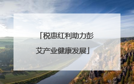 税惠红利助力彭艾产业健康发展