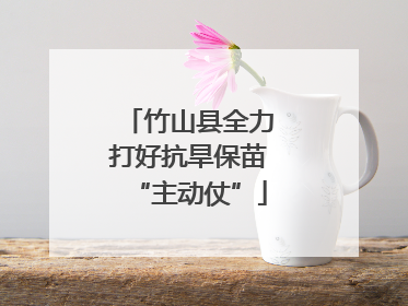 竹山县全力打好抗旱保苗“主动仗”