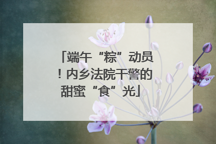 端午“粽”动员！内乡法院干警的甜蜜“食”光