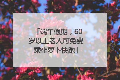 端午假期，60岁以上老人可免费乘坐萝卜快跑